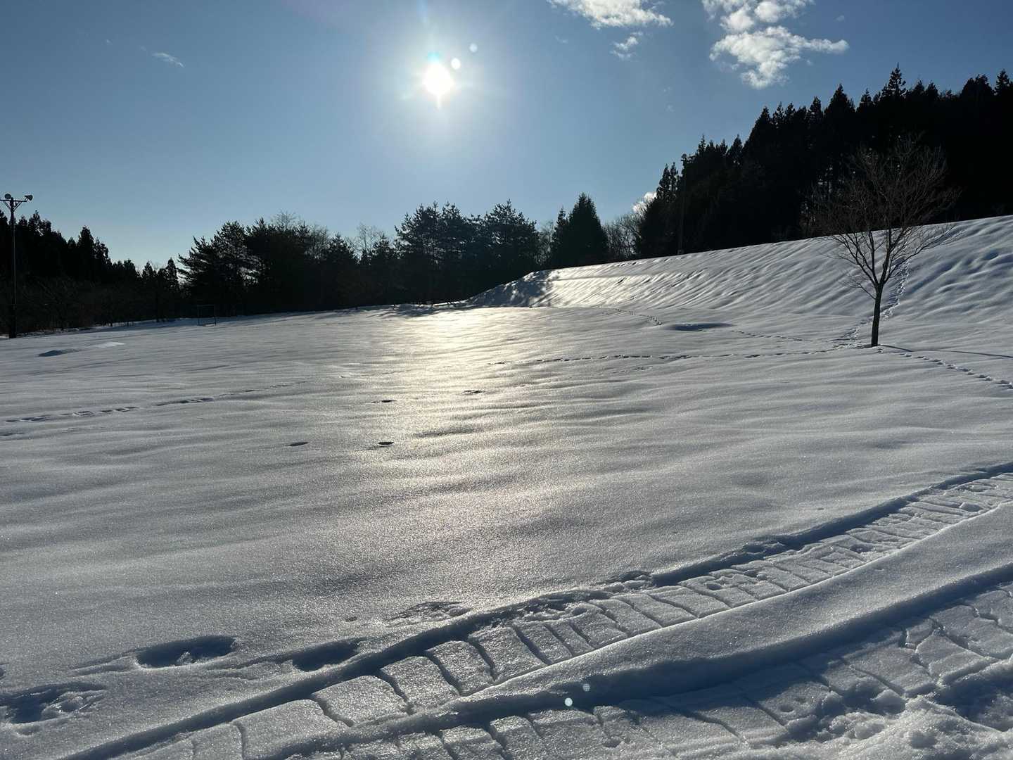 光ってます✨