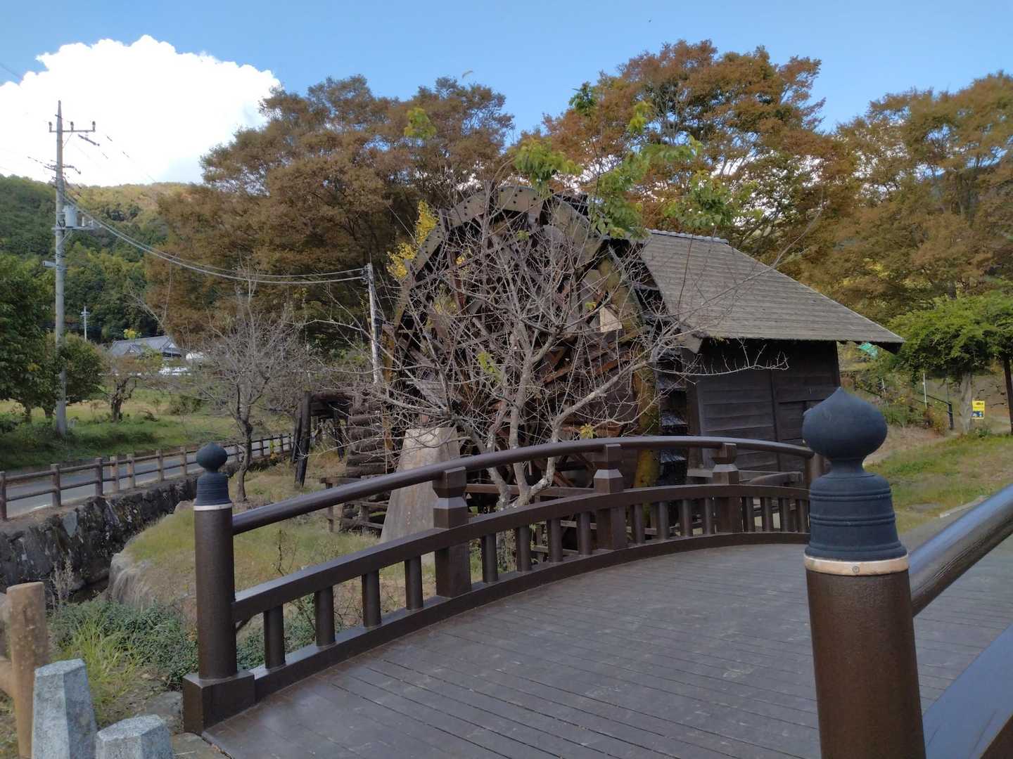 毎回撮ってしまうやつ😅