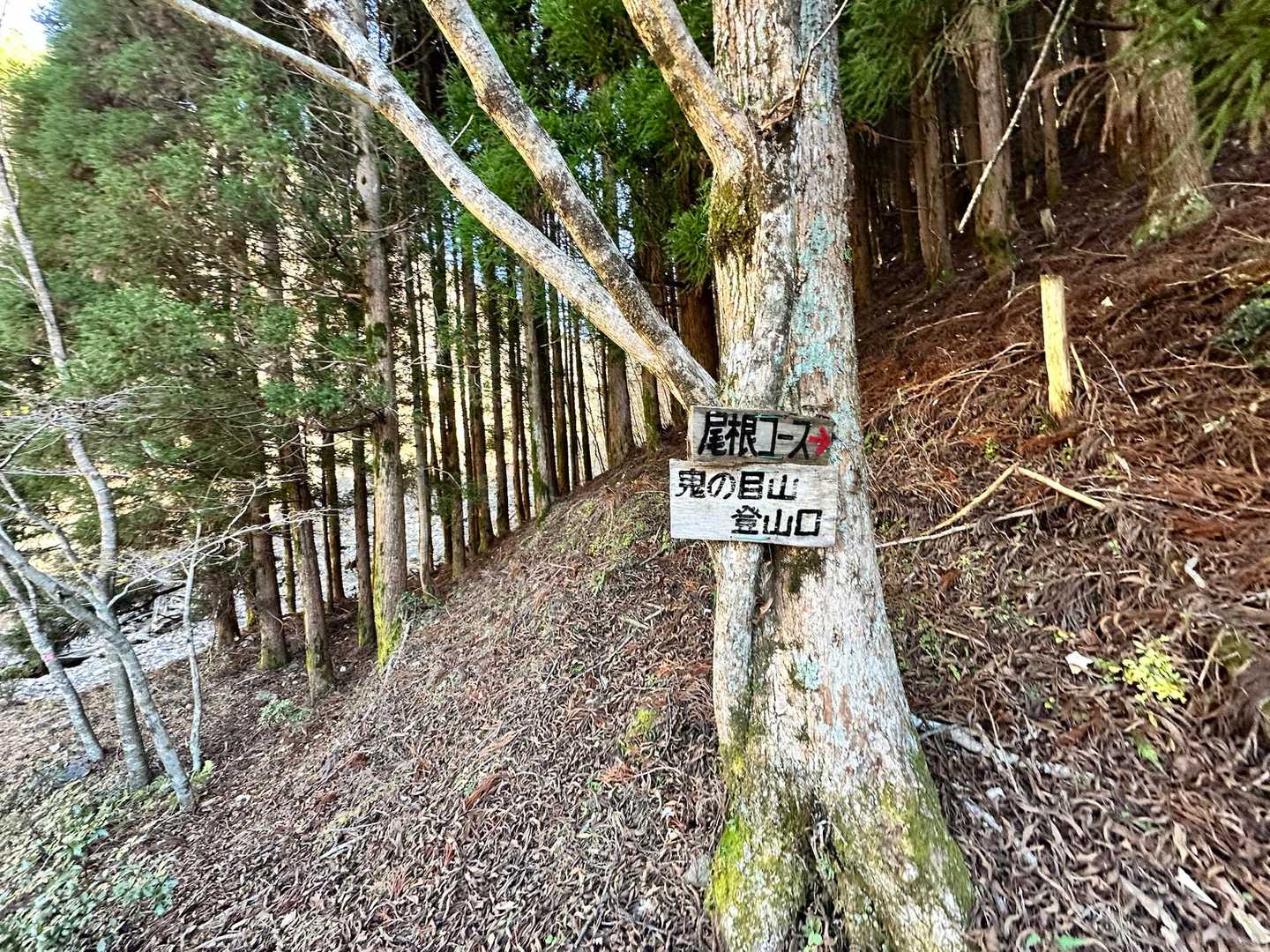 鬼の目山へ↗️