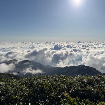雲海だらけ