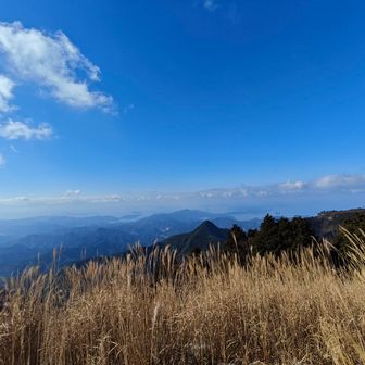 宇和海が見える絶景✨
