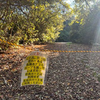 さて北嶺ピーク行きたいな...っと
ありゃ。ここからも入れないか

どうしよう？しばらく悩んだ
山頂標識、ちゃんと見たいんだけどな