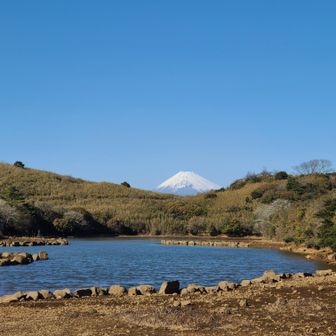 富士山🗻と氷ヶ池