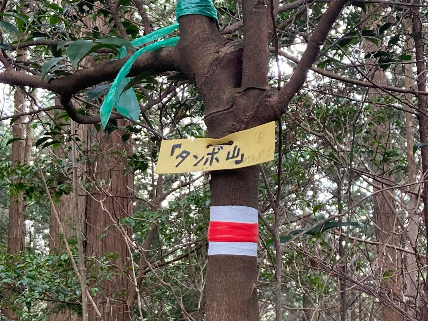 タンボ山山頂