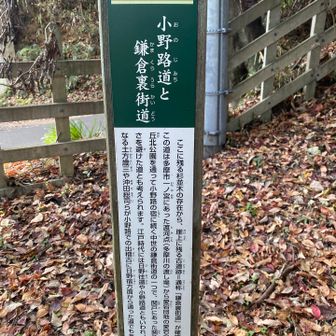 土方さんと沖田さんが通っていたと…ふむふむ