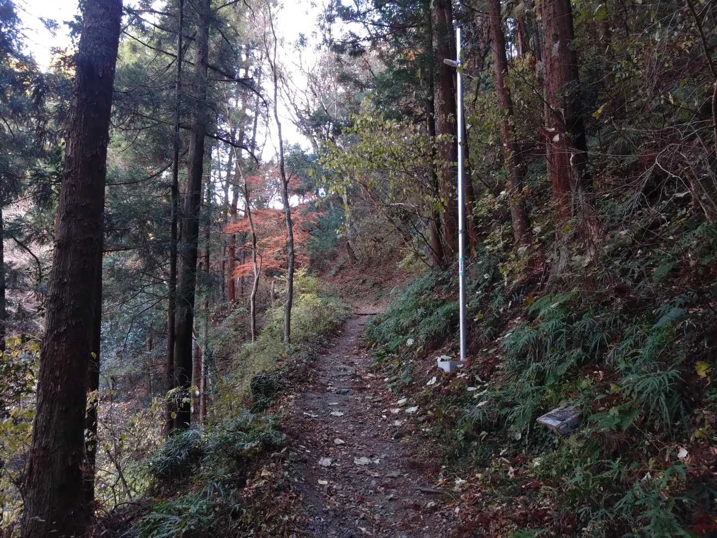 もうすぐ駅だと思ったら山道に
しかも上り😅