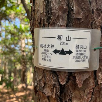 大文字山・如意ヶ嶽・稲荷山 柳山山頂。ここも展望はよくない。