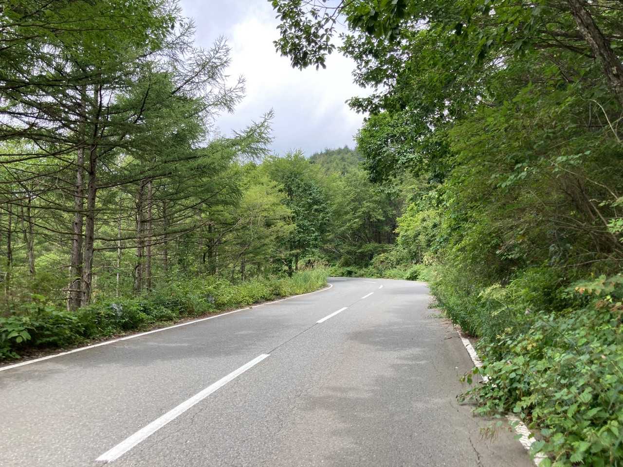 車道を数百メートル歩きます