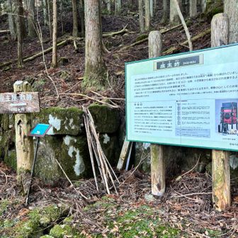 せっかくなので…