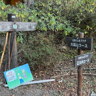 行きは正丸峠コースから