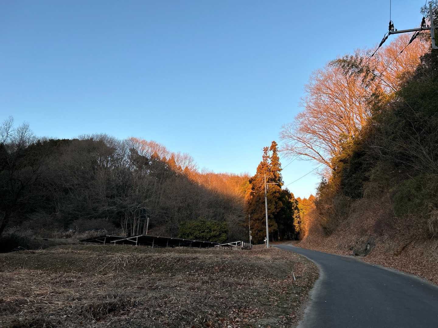 朝日がきれいでした。