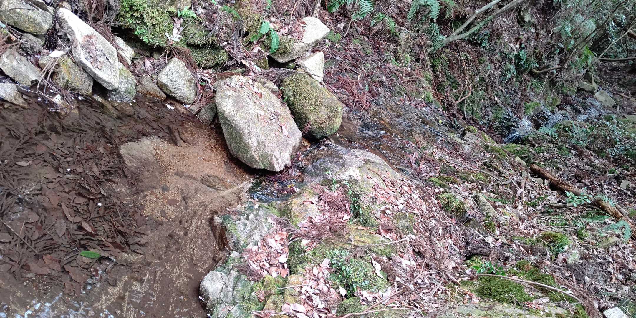 沢を渡ります。