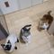 sora.riku.umi.mio.neko