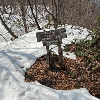 山頂はまだ雪が多い