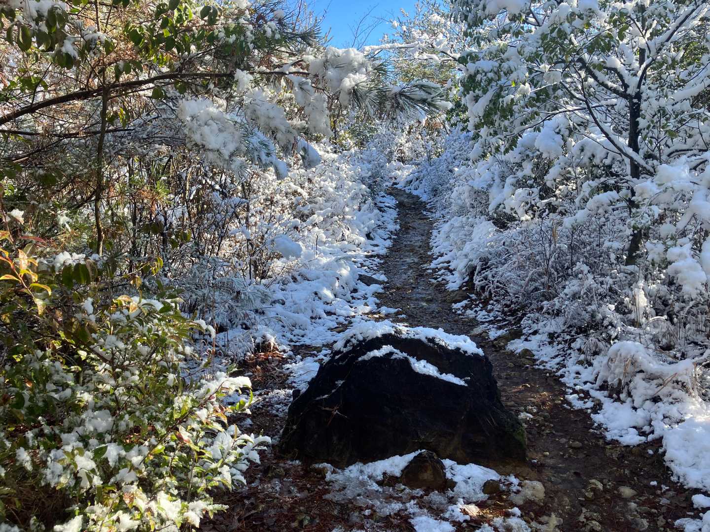 伊吹の滝登山口-岩滝白山-各務原権現山 周回コースの写真