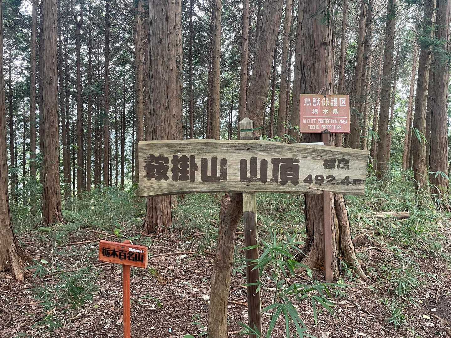 鞍掛山に到着⸜(*ˊᗜˋ*)⸝
まだ来たのは3回目😅