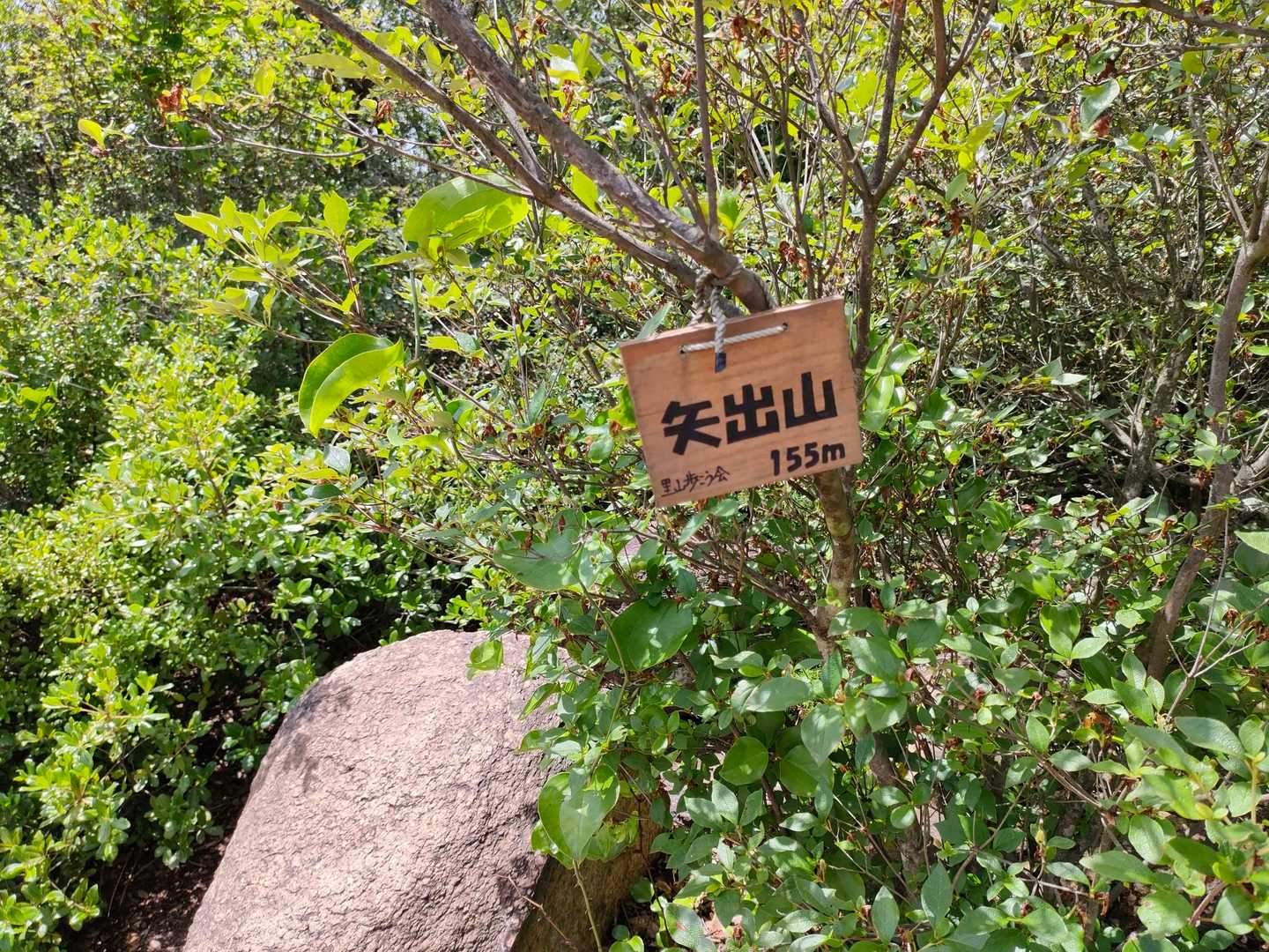 矢出山-新割山 縦走コースの写真