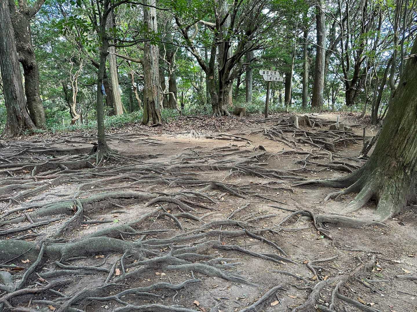裏に回ると