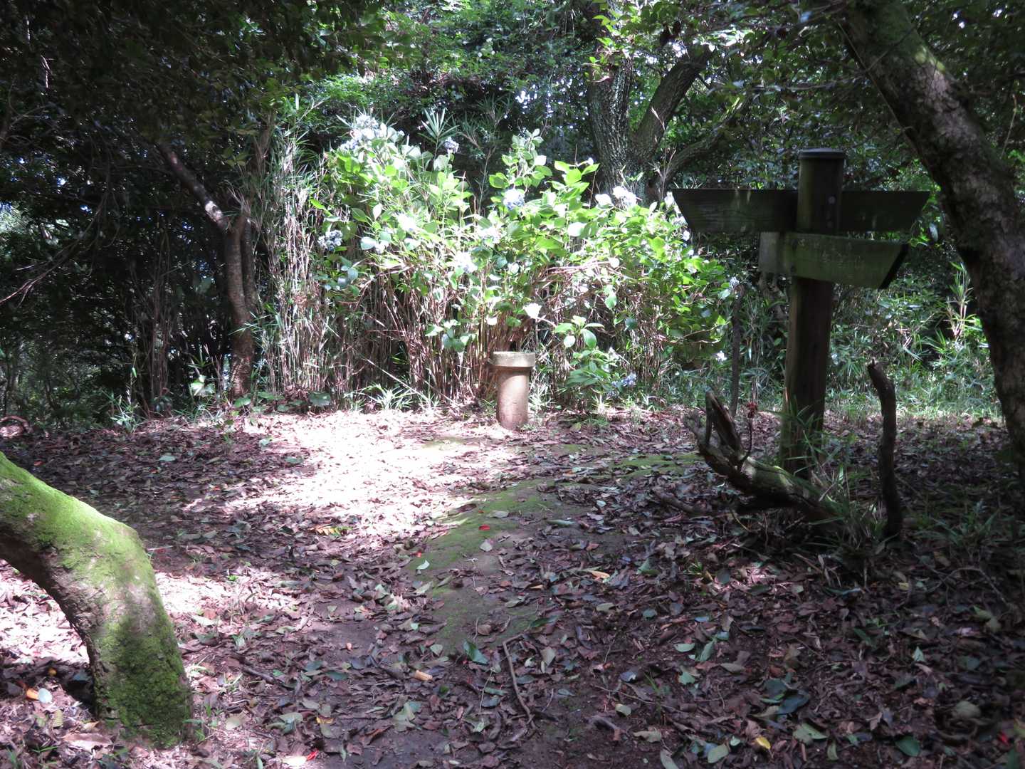 奥田峠への分岐