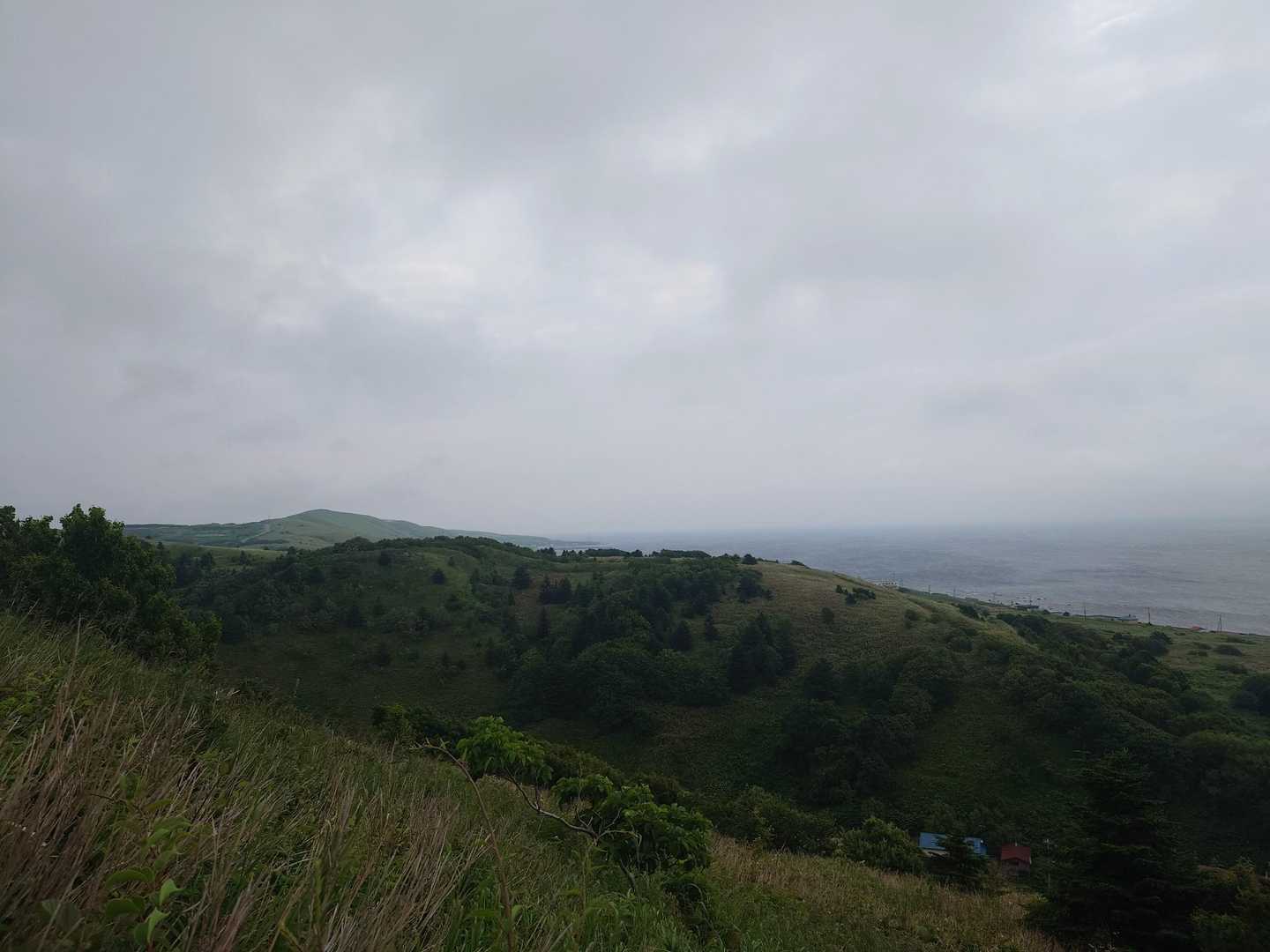 海に浮かぶ高山植物の山、礼文岳堪能コースの写真