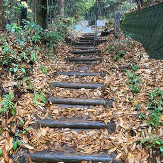 あのゲートを開けて、
行きまーす！
