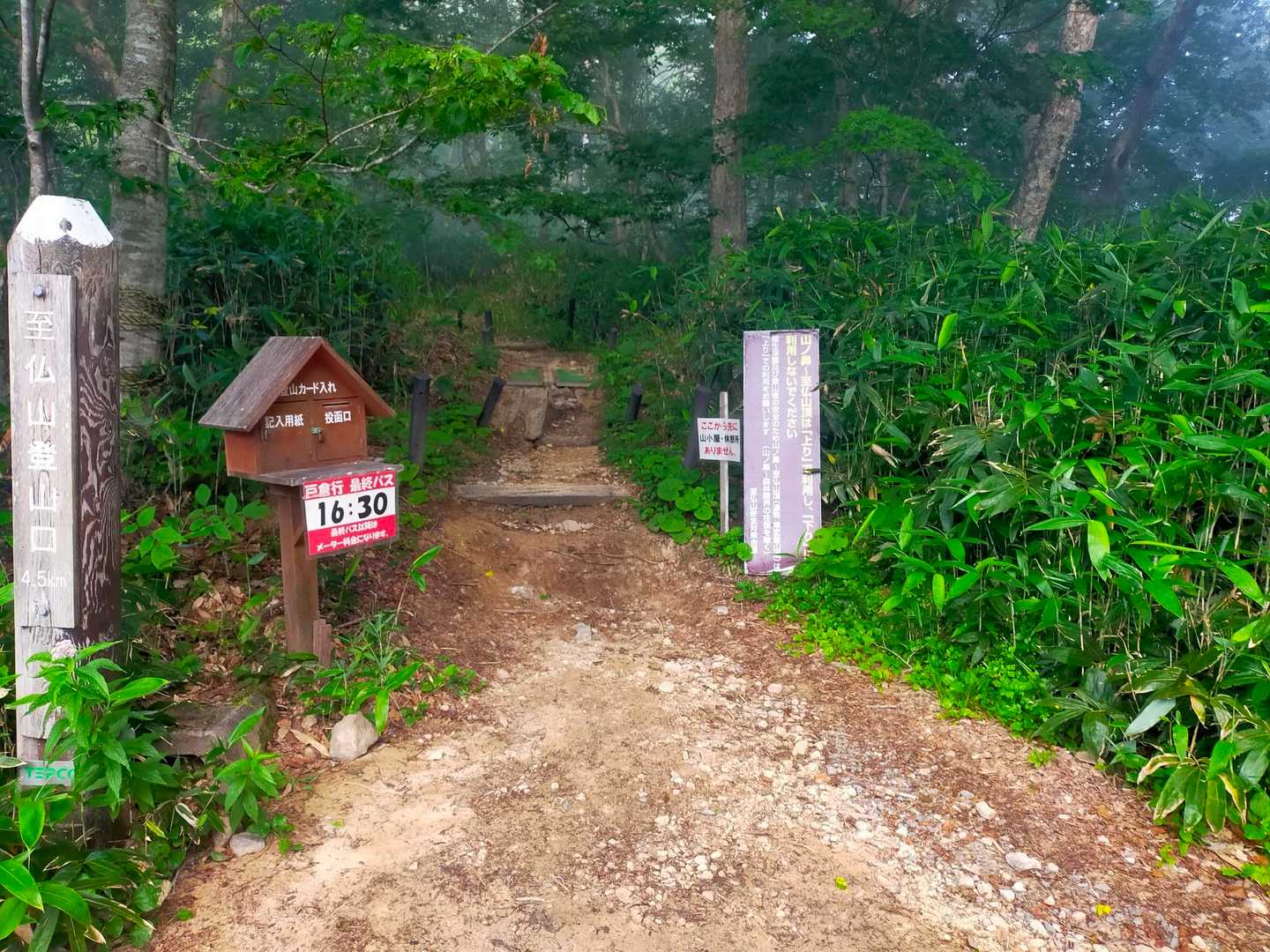 さあ登山開始です。