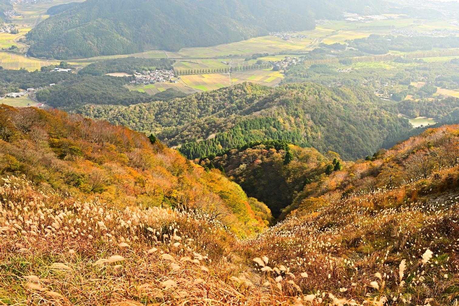 山に来て気が紛れてるのか腰の具合もそれほど悪くはなく、これなら次の週末は遠征できそうだ👌