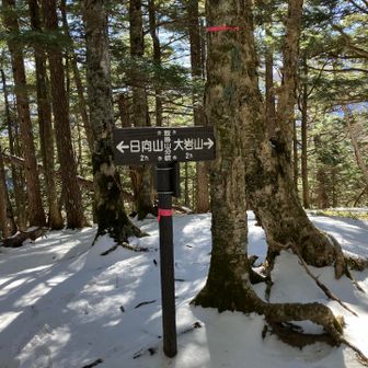 この先はアイスバーン🧊で危険だと教えてもらいました