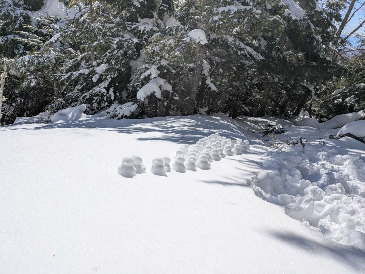 美濃戸口登山口-御小屋山-阿弥陀岳 往復コースの写真