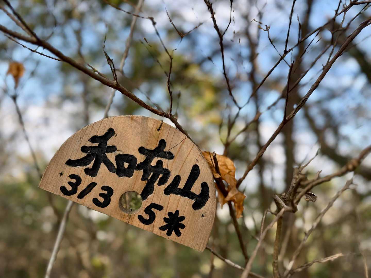 🪧和布山⛰️✨
眺望はないです😁