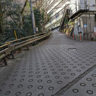 病院横の入口は、もう来ないな。この坂はキツくてつまらん