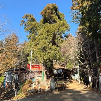 ではまた来ます！