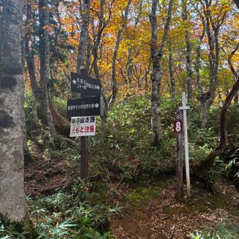 自然の守りからの道との合流地点。
帰り道は一瞬どっちに行くか悩む。