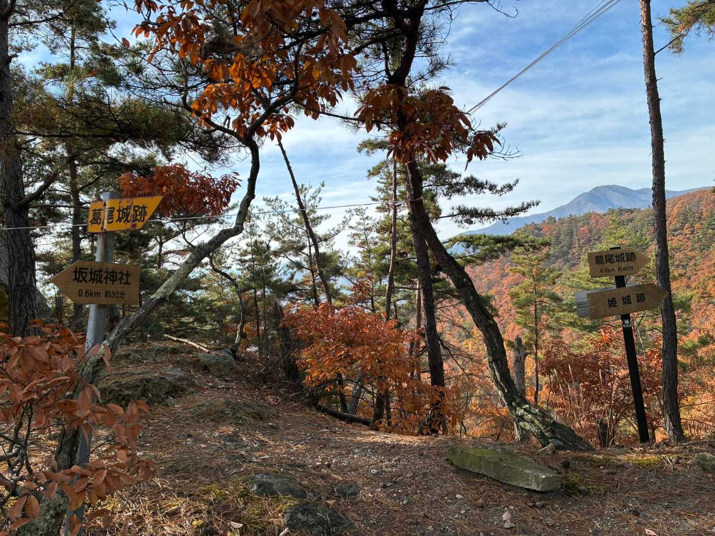 横を通っただけでも登ったことになりますが裏から飯綱山へ。