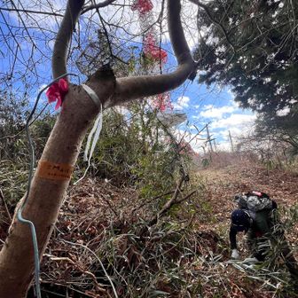 目立つように草刈りをするカンロさん♡good(^_^o)job  落ちてた線を飾ったり…