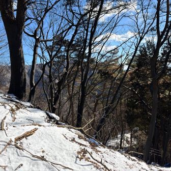 小屋から上流の東側の斜面が焼けていました。
登山道は山火事の影響は無かった様です。