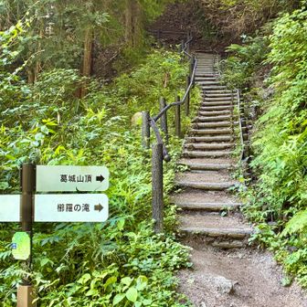 滝を見終え、登山道に復帰

整備された木段道