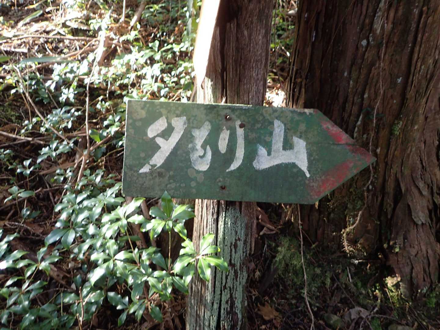 「タもり山」ではありません
「夕モリ山」です(^^♪