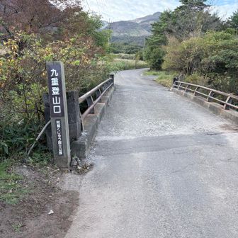 まずはスガモリ越へ