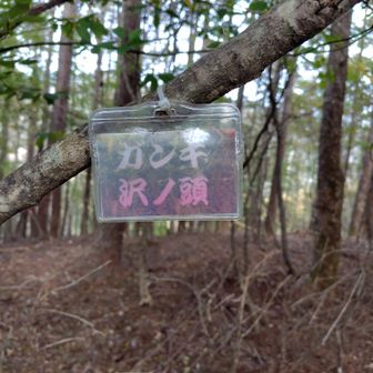 ガンキ沢ノ頭（復路で見つけた標識）