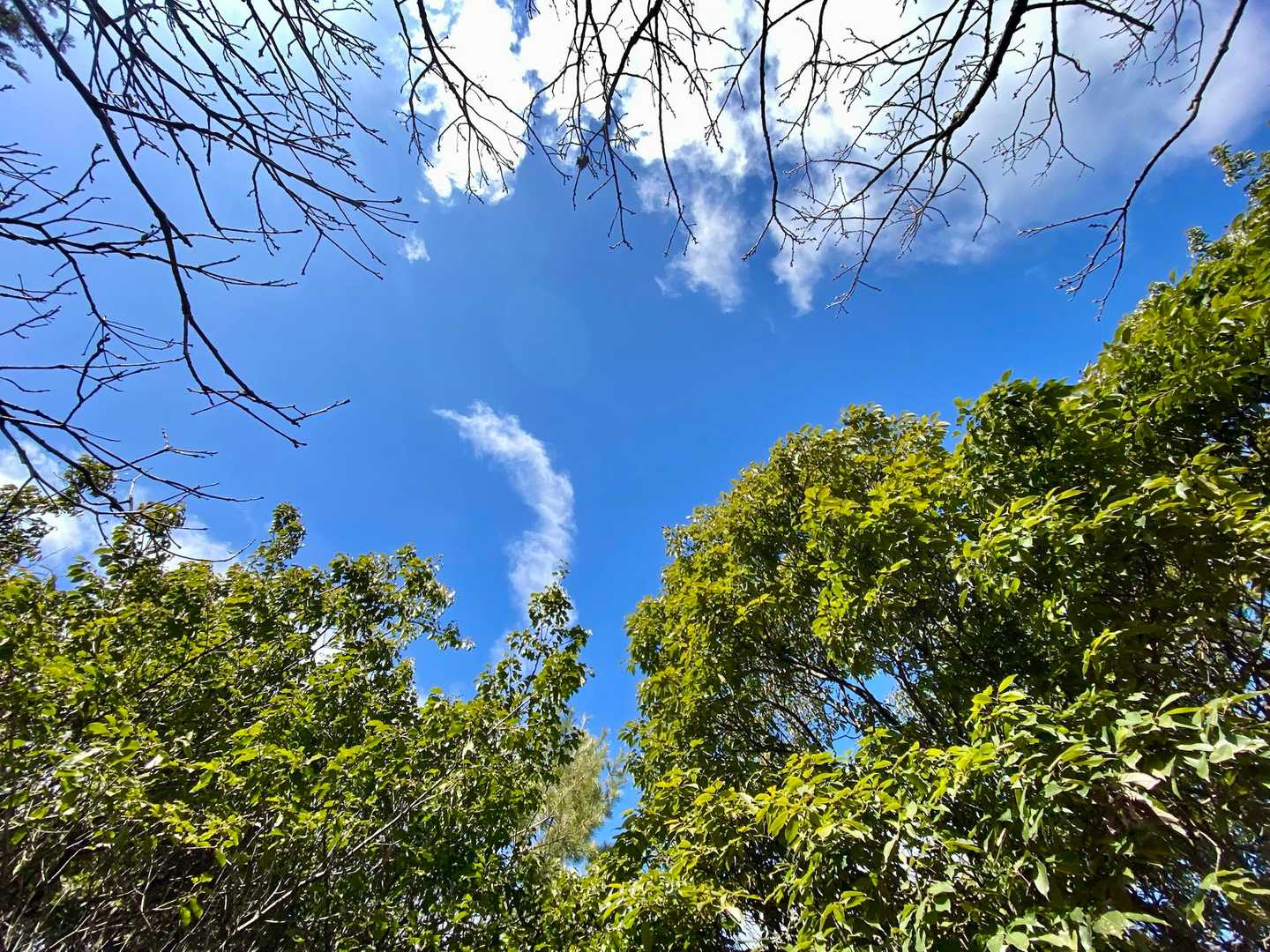 山頂からの眺望は空のみ！