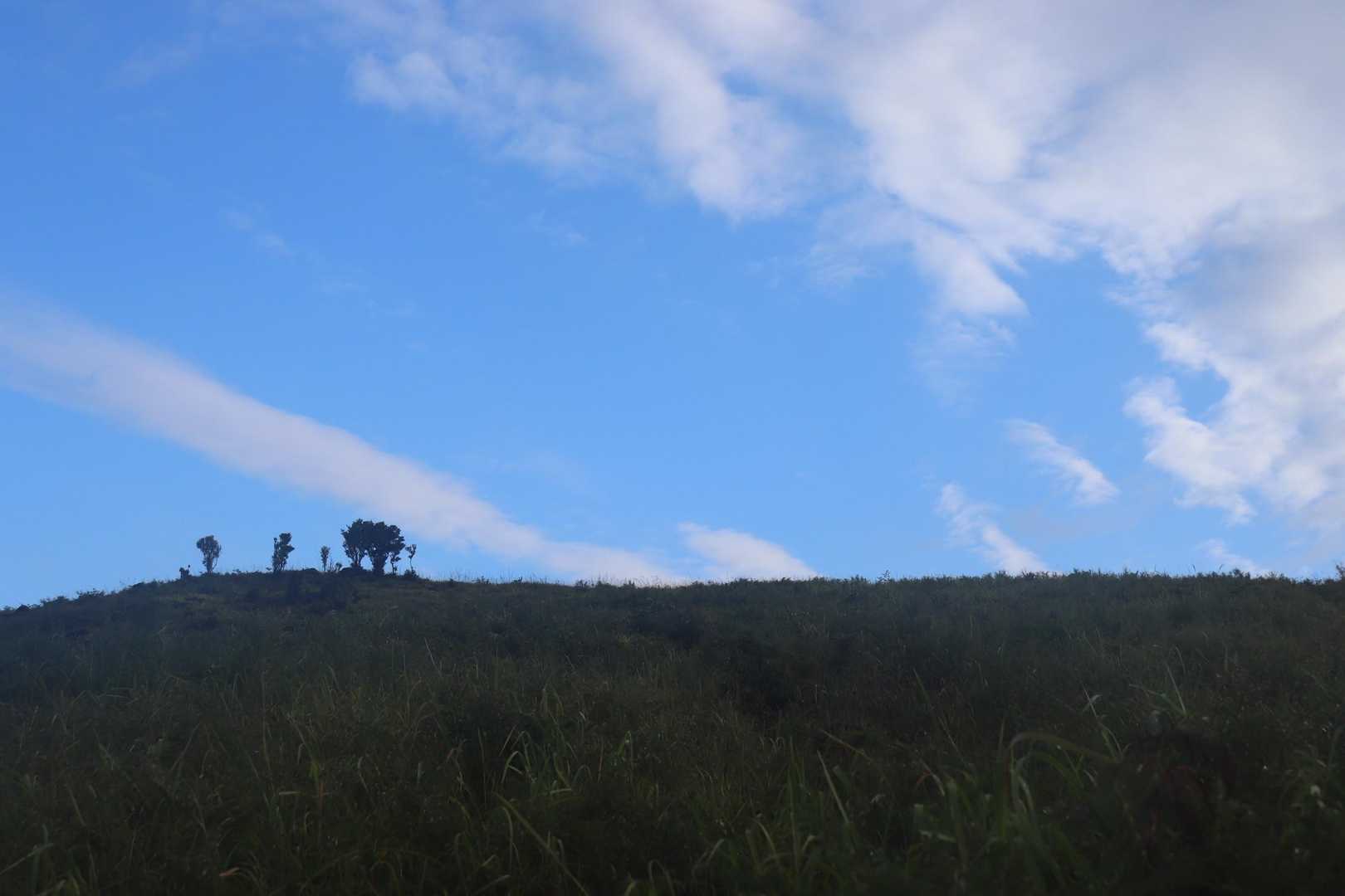 雨の後青空