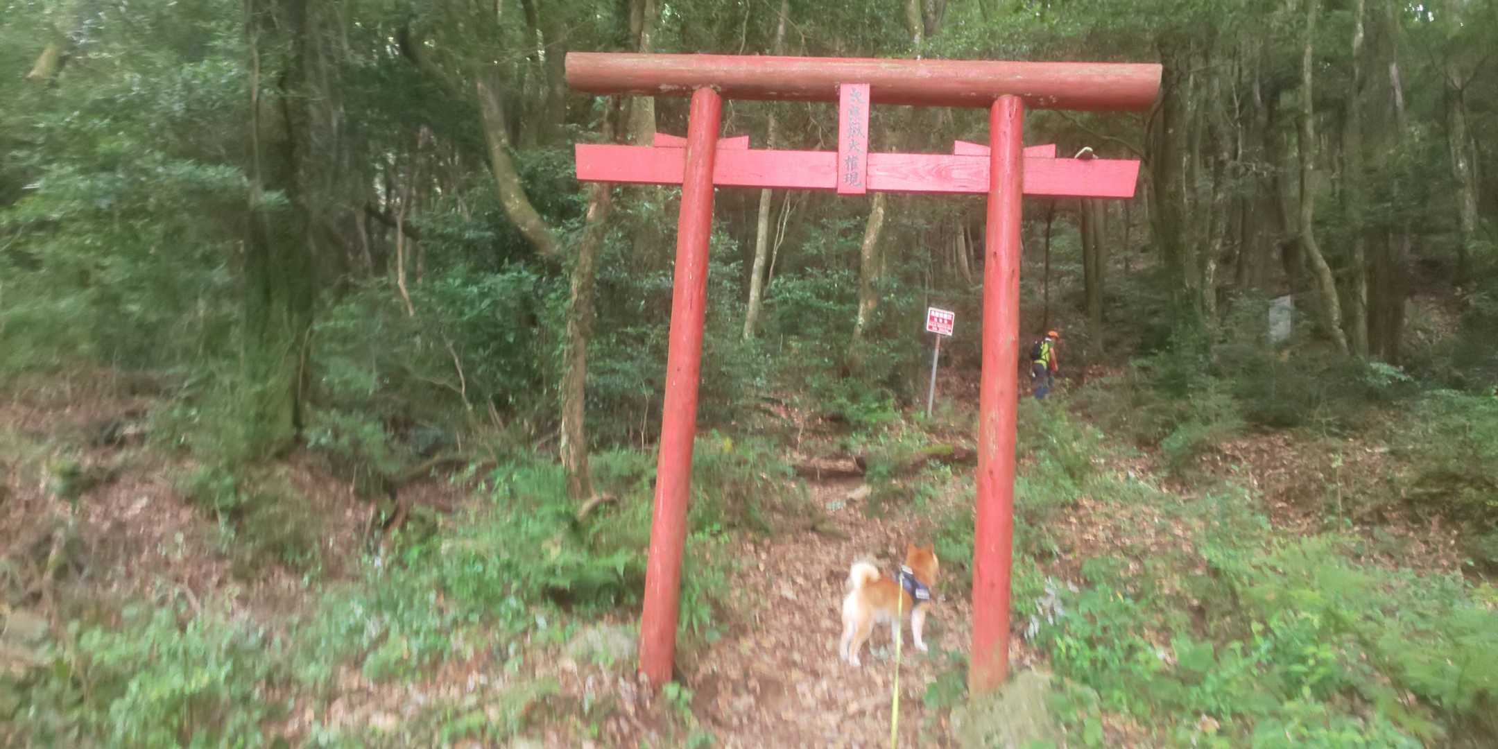鳥居を潜って登山道🎶