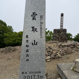 1日目に着いた時、体感で誇張するなら空気の20%くらいは虫でした。虫も山頂が好きなのかもしれません