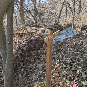 ばくち岩方面に下ります