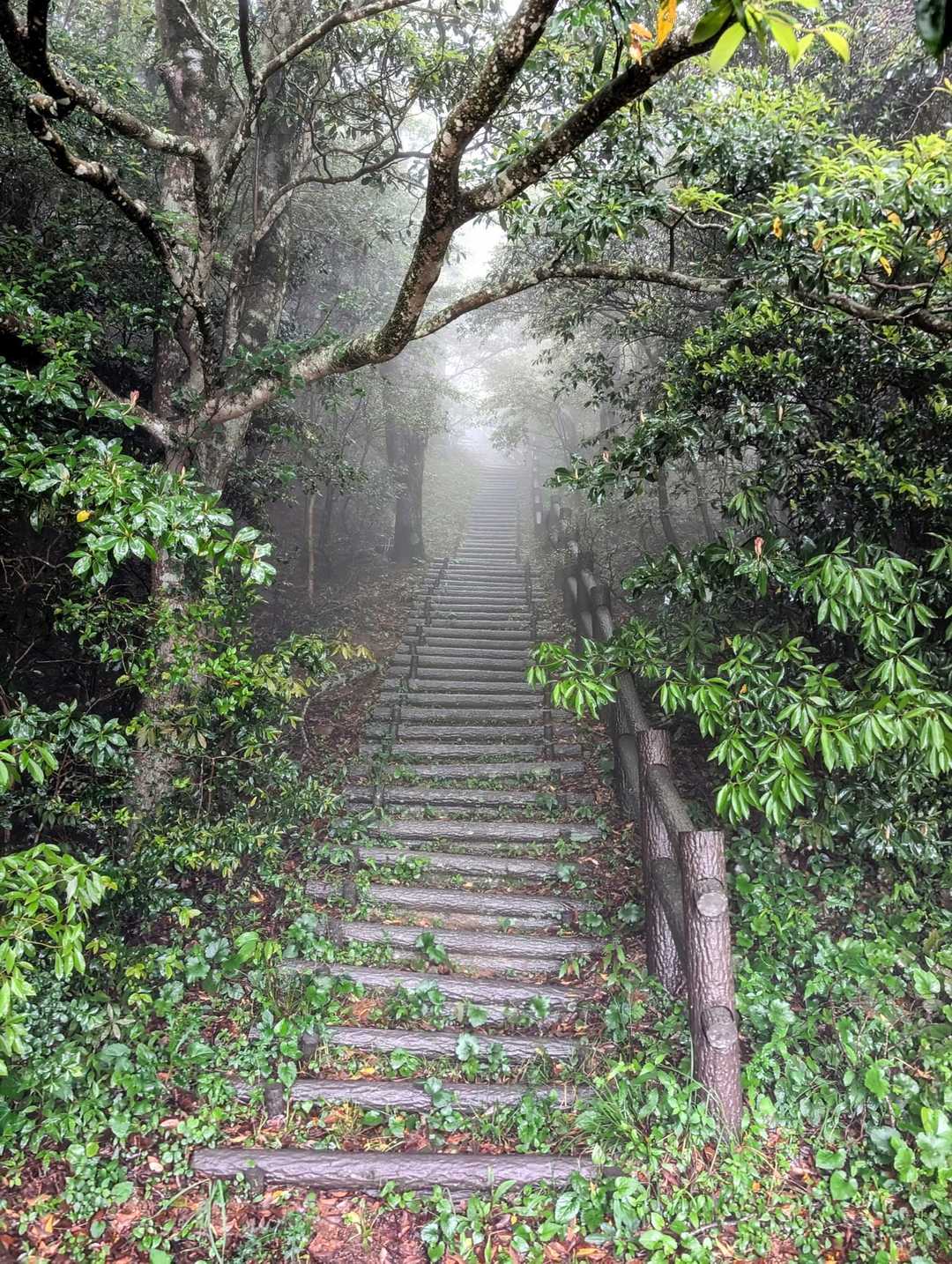 🅿️に停めて
登ります🚶💨