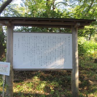 頭高山山頂