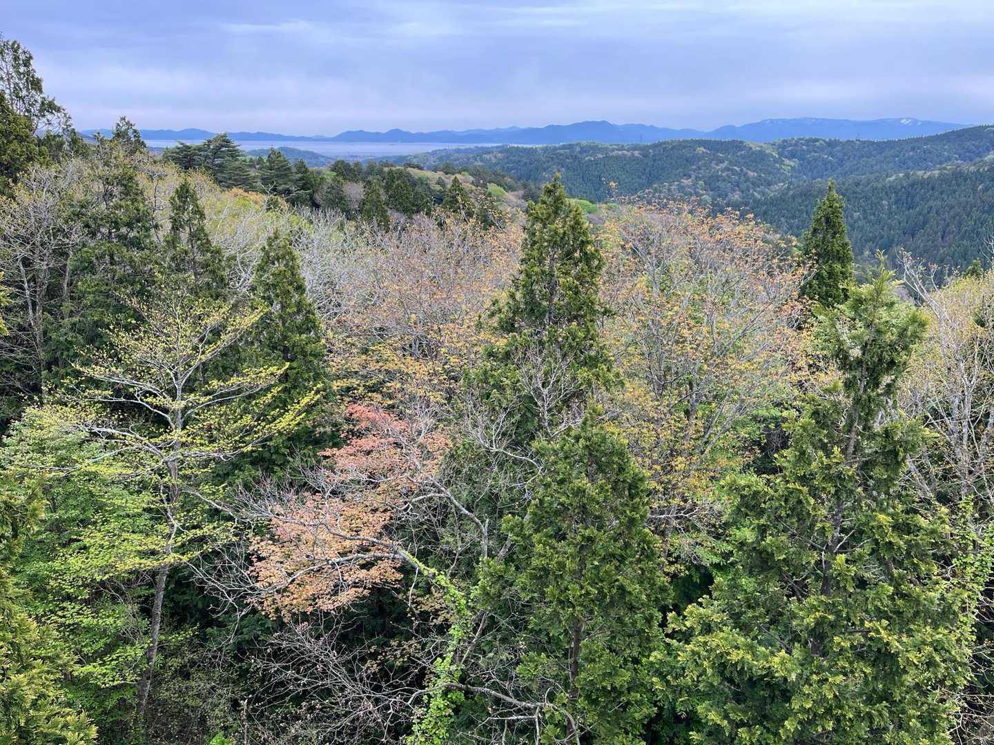 陸奥湾