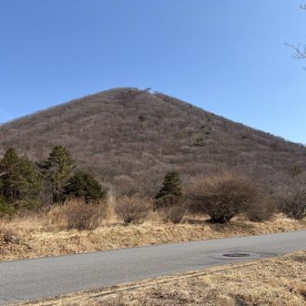 UFOきそうなくらい綺麗なフォルム