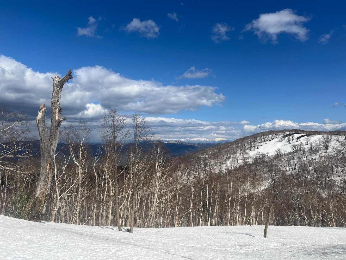 ここの山はピンテがあまりなかったのでYAMAP見ながら進みました🏔️ありがたや🙏